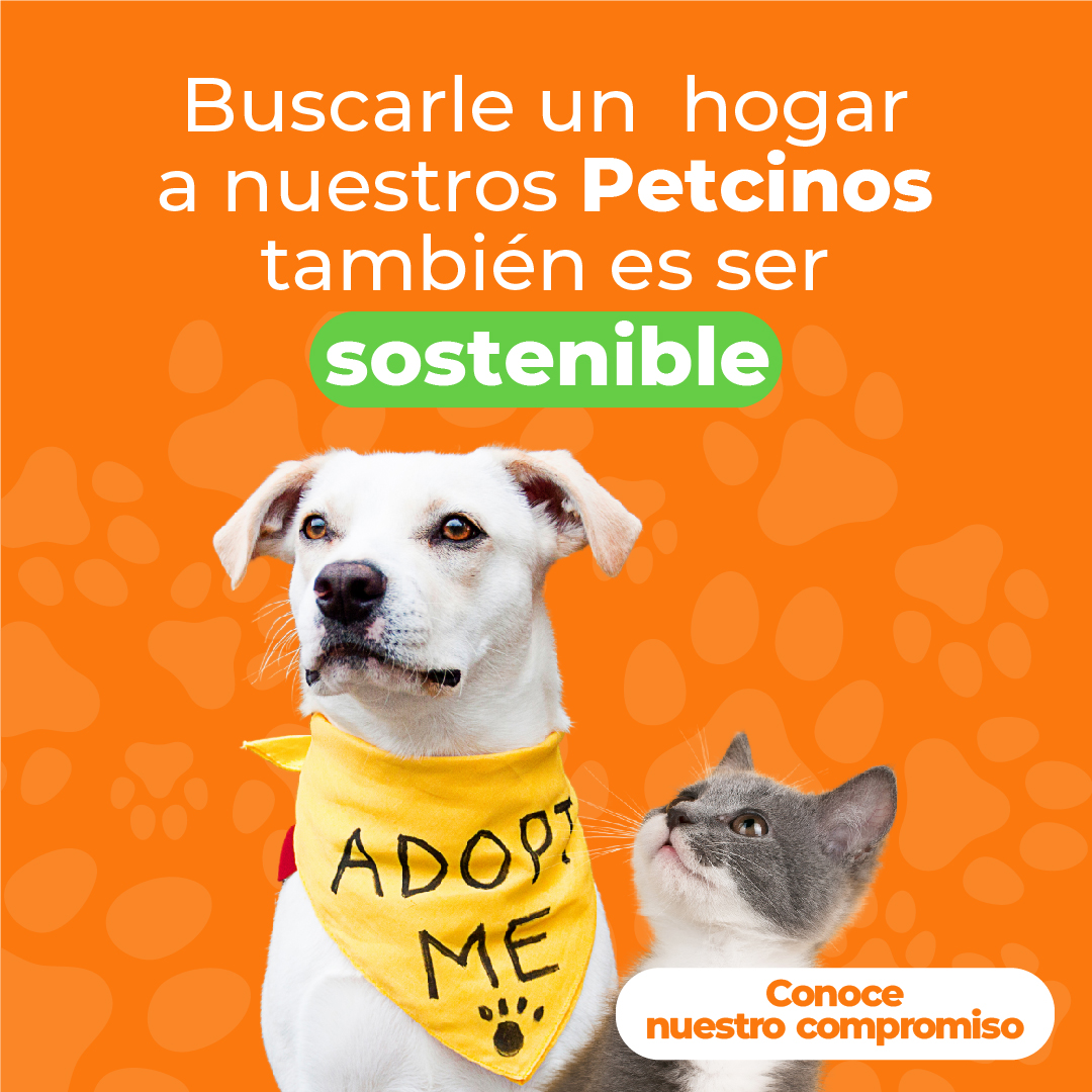 02 BANNER PETCINOS 1080x1080px