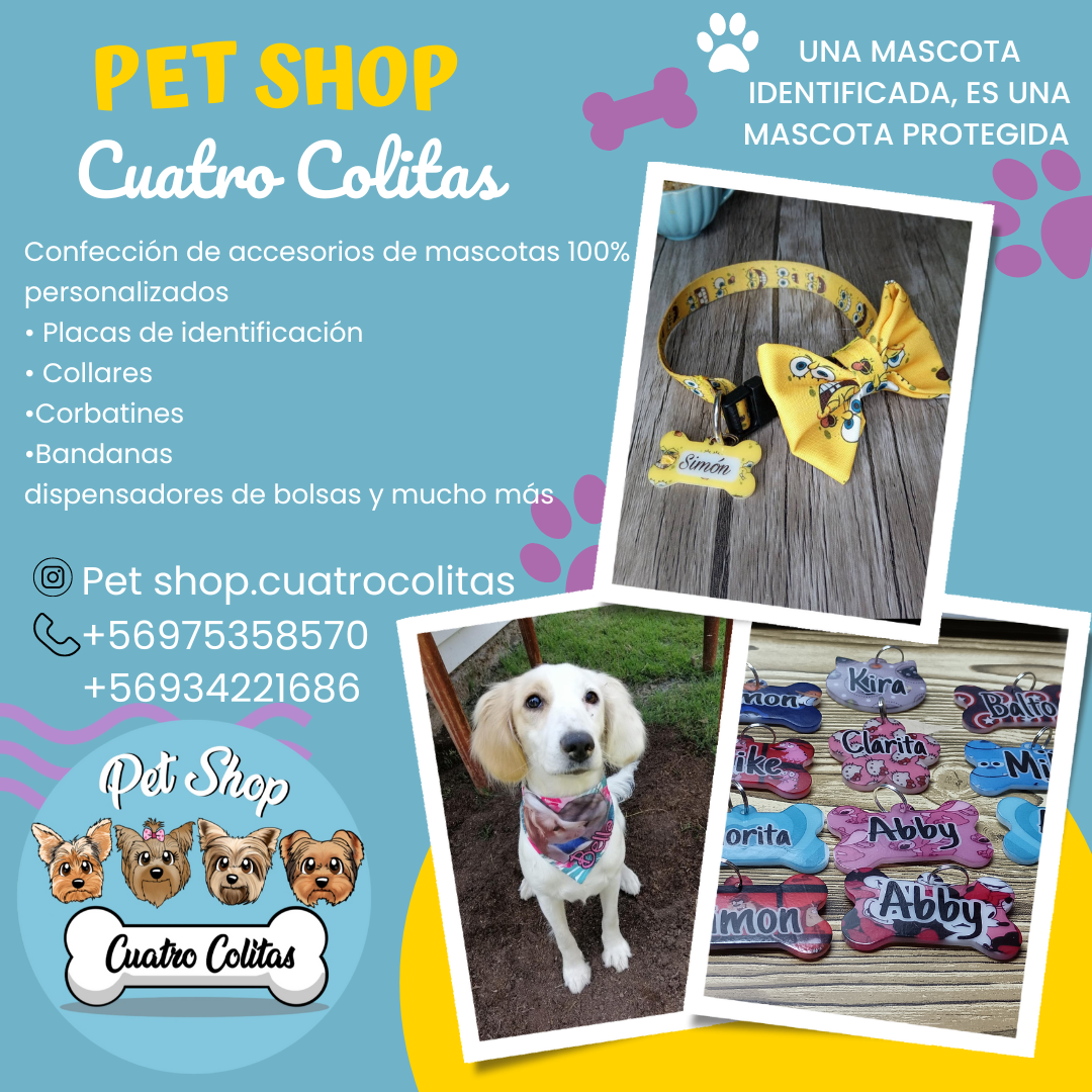 Pink and Yellow Playful Pet Shop Promo Instagram Post_20230805_235037_0000.png