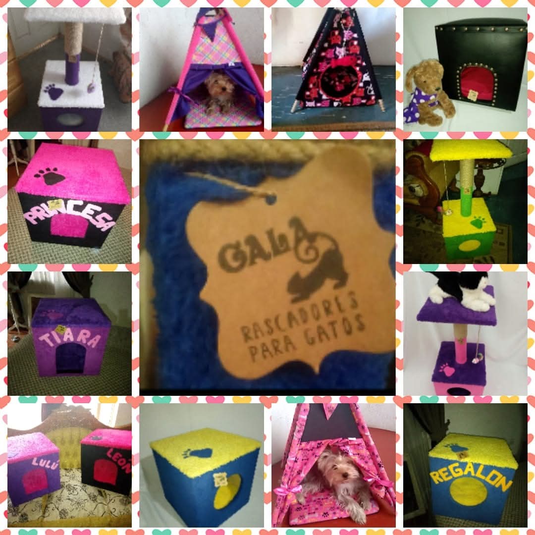 FB_IMG_1755663348082 (1) (1).jpg