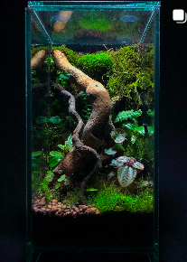 Captura de Pantalla 2025-11-06 a la(s) 17.14.35.png