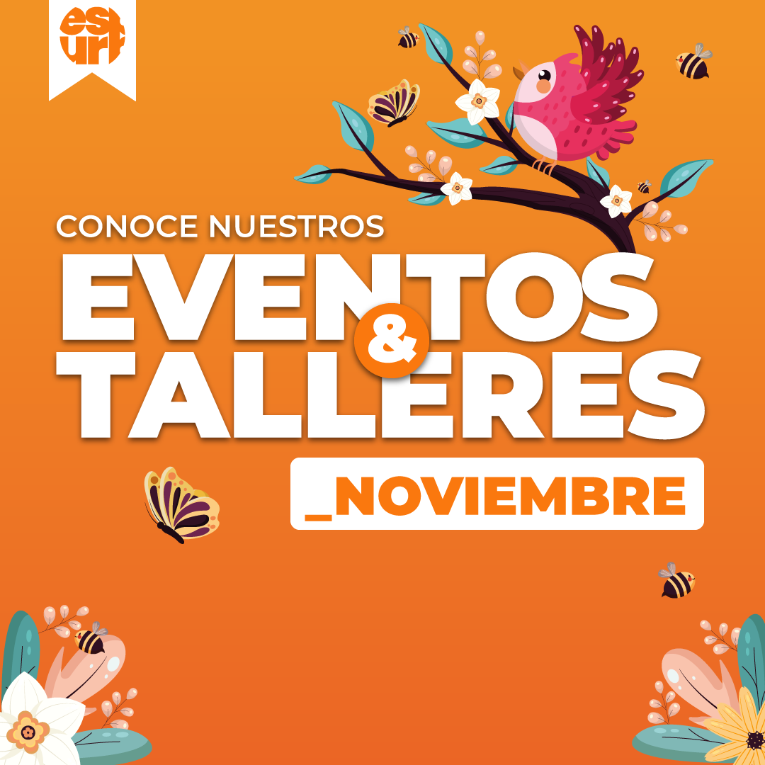 EU-Carrusel-Eventos_y_Talleres_Noviembre_2024-1080x1080px-1