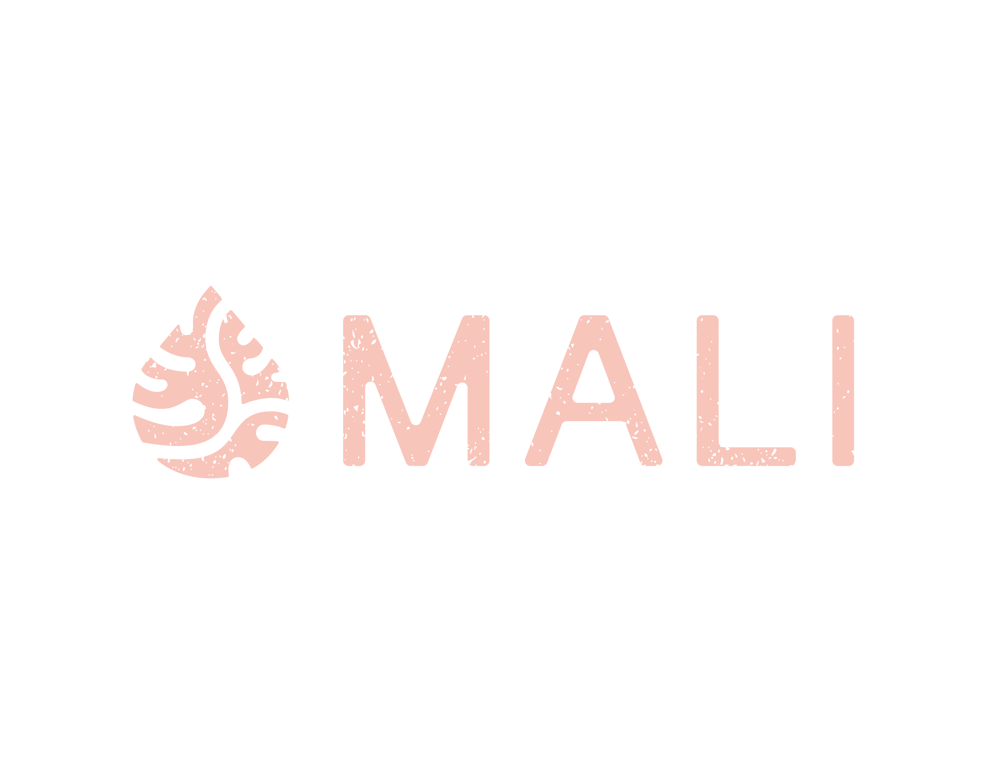 Logo Mali Color 3_300dpi-01