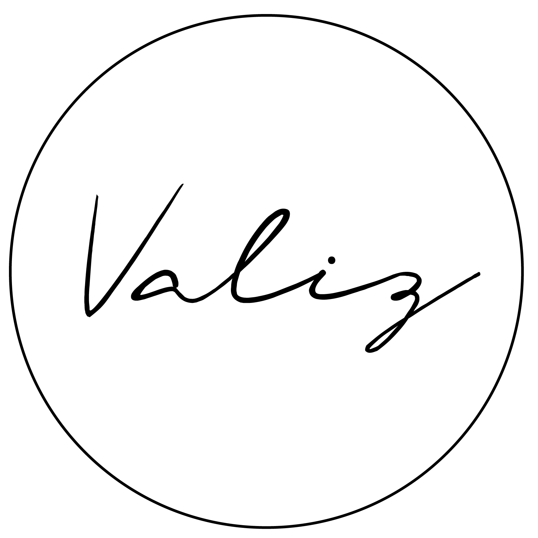LogoValiz-01