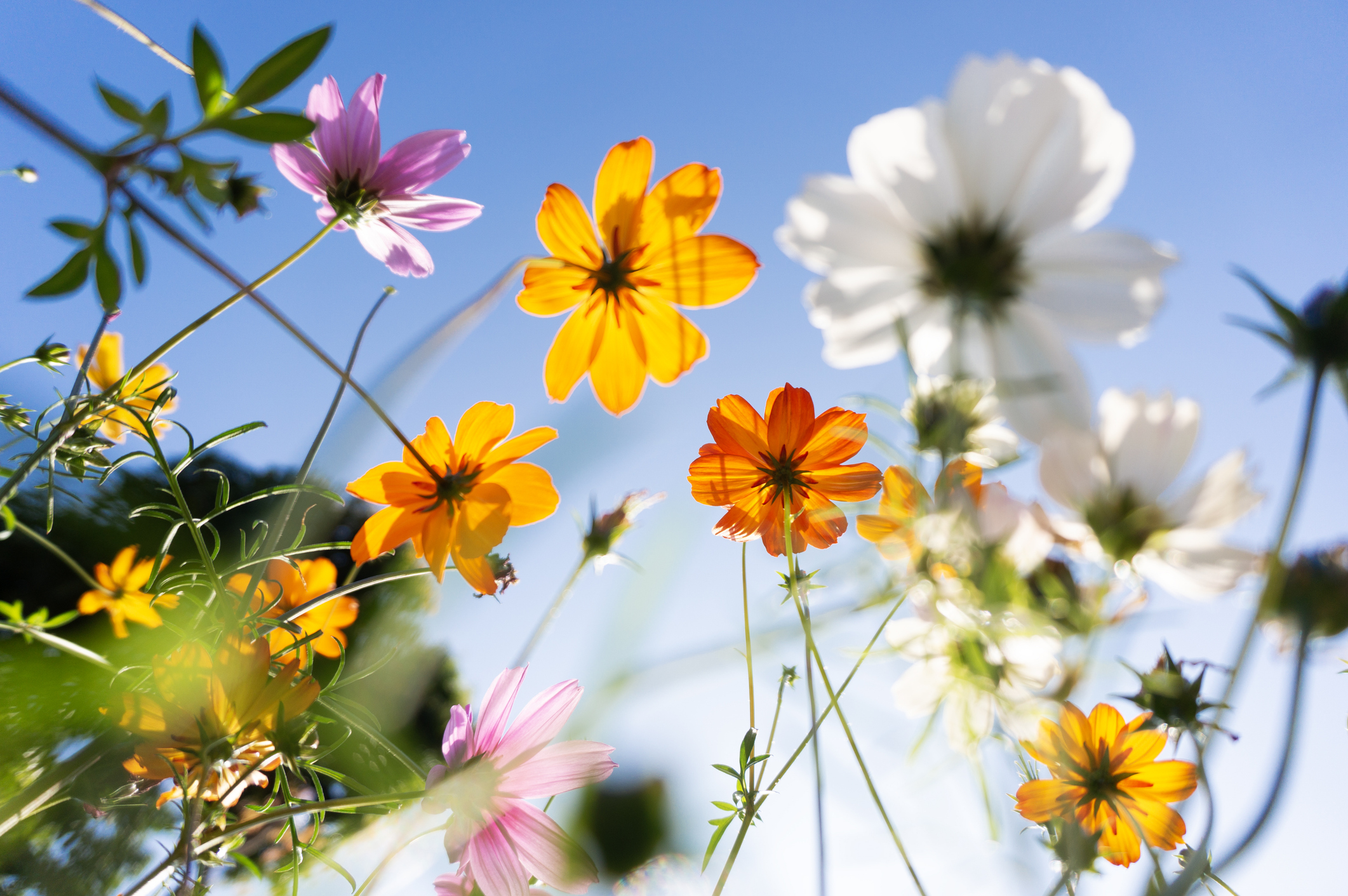 iStock-2196545732