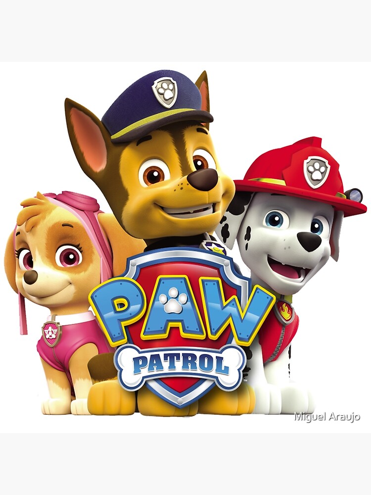 paw patrol