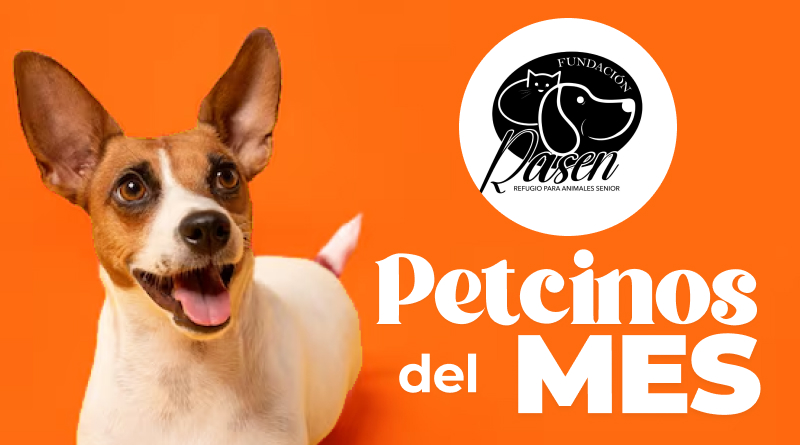 petcinos enero 26 resultados