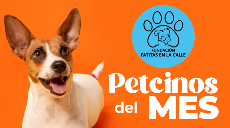 petcinos septiembre resultados